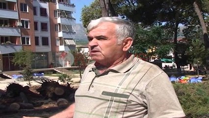 Berat, priten pemët shumë vjeçare për lulishten e re - Ora News- Lajmi i fundit-