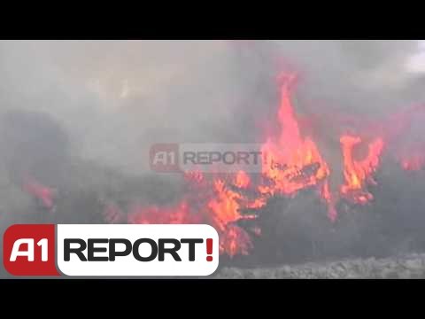 A1 Report - Zjarr në Krastë të Krujës,shpërthimi dyshohet nga municionet e fshehura