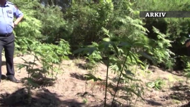 Aksident në Librazhd. Makina godet ndërtesen, vdes shoferi