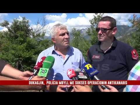 DUKAGJIN, POLICIA MBYLL ME SUKSES OPERACIONIN ANTIKANABIS