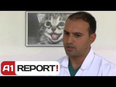 A1 Report - Qentë e rrugës nuk do të vriten bashkia e re u gjen atyre shtëpi
