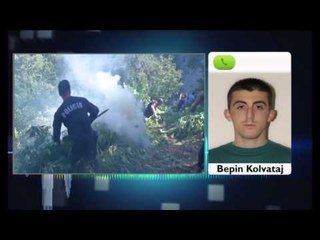 450 efektivë të policisë FNSH e RENEA në Dukagjin për asgjësimin e kanabisit - Ora News-