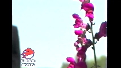 Fatmira Brecani - Dy bylbyla ne koshare (Official Video HD)