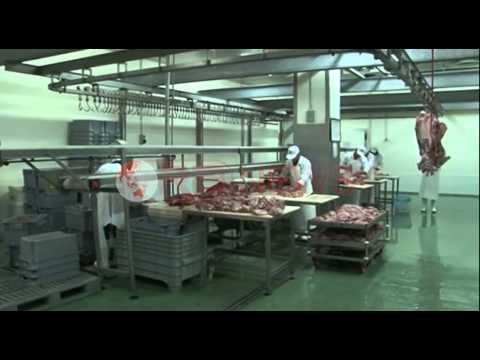 INSTAT: 87.5% e punëkërkuesve u drejtohen miqve dhe të afërmve- Ora News- Lajmi i fundit-