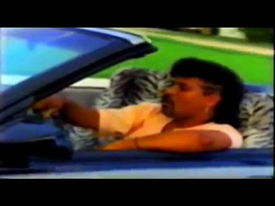Steve B "Spring Love"