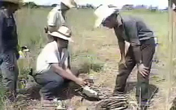 (Reportagem Globo) Caçada de Onça Pintada - Pantanal MS