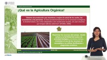 Retos de la Agricultura y la Alimentacion en el Siglo XXI. Sistemas alimentarios locales. Agr.© UPV