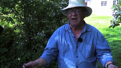 Leo Jespersgaard - en af initiativtagerene til den første Thylejr i 1970