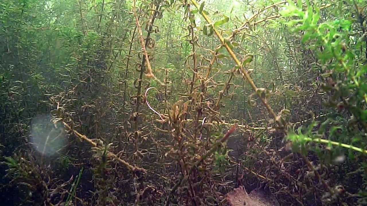 canal de Vendeuil sous l'eau