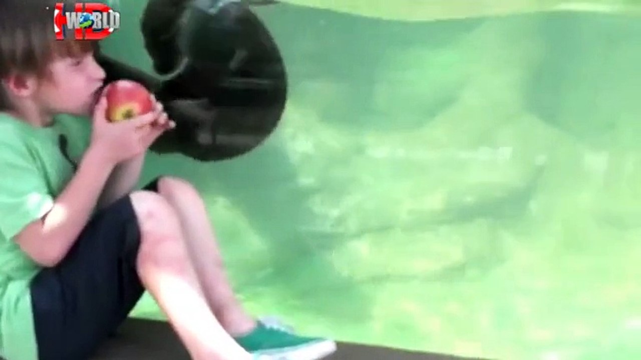 when animals attack at the zoo