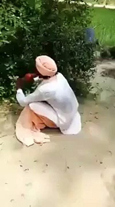 Funny video