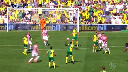 الدوري الإنكليزي الممتاز: ستوك سيتي 1 - 1 نوريتش سيتي