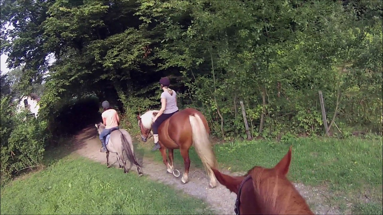 jeudi delire a cheval
