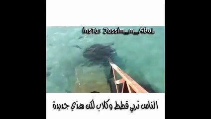 الناس تربي قطط وكلاب لكن هذه جديدة