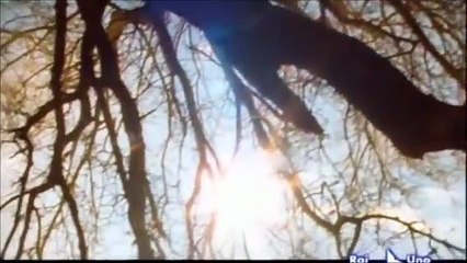 San Francesco, Cantico delle creature