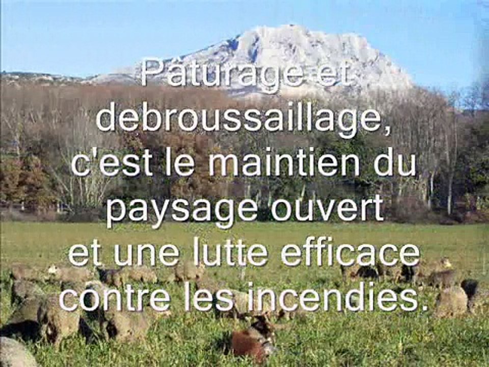 les 4 saisons d'un berger