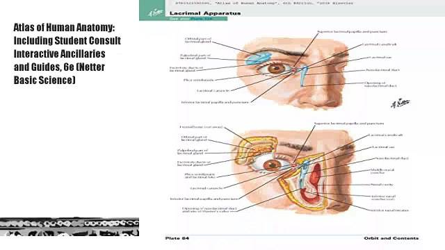 Atlas of Human Anatomy: Including Student Consult