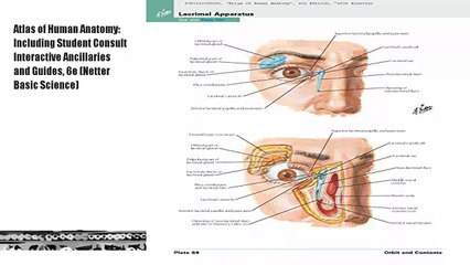 Atlas of Human Anatomy: Including Student Consult