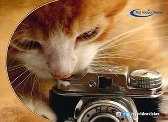 Appadiya - Photography Of History