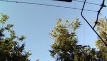 UFO over Golyanovo - Moscow August 22, 2015