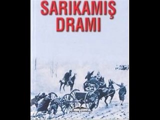 Ruhi Su Sarıkamış