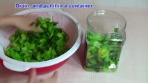 Vietnamese Food How to Make Mustard Green Pickles - Day Nau An Cai Chua