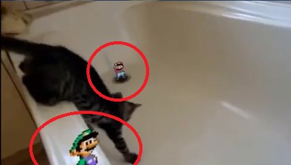 Mario And Luigi Are Super Jerks In Real Life