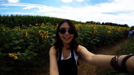 Sunflower Maze Family Day
