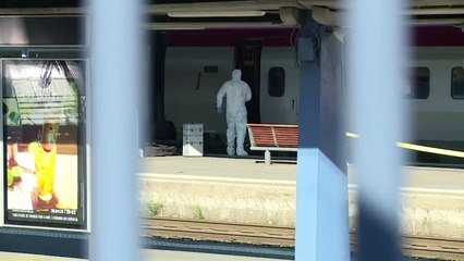 Interrogan al atacante del tren francés