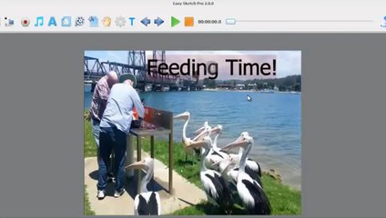 Whiteboard Animation Software