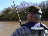 'Snagging' Paddlefish with Dick Faurot
