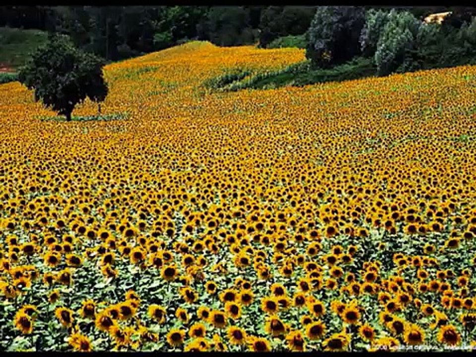La Toscana e Bocelli