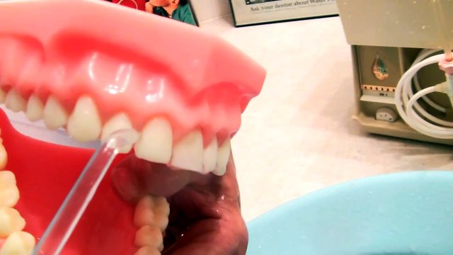 Waterpik Ultra Water Flosser Dental Professional Shows How To Use