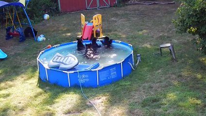 Bears take over Rockaway Township pool