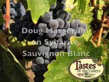Margerum on Sauvignon Blanc, Tastes of the Valleys. Solvang Wine Tasting,