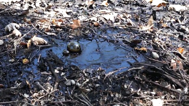 Bubbling Tar at La Brea Tar Pits