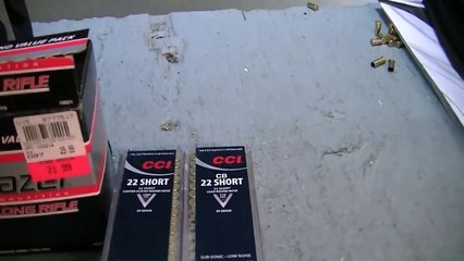 22LR and 22S out of a Marlin 81G