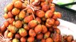 Borneo Fruit & Food-Buah Pinang (Areca Catechu nut)-a cause of oral cancer?