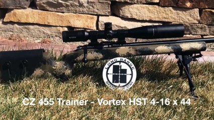 Shooting Toothpicks & Match Stick at 40 yards with a 22 LR - 22 LR Marksman Challenge July 2014