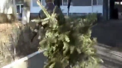 Everyday is a holiday