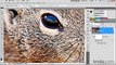 Photoshop: Using the Smart Sharpen filter | lynda.com tutorial