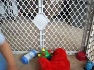 baby scared of jack in the box