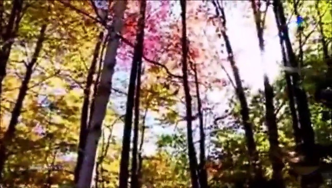 İlkay Armen - Zehretme Hayatı Bana Cananım