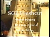 Large Onions Being Air Peeled