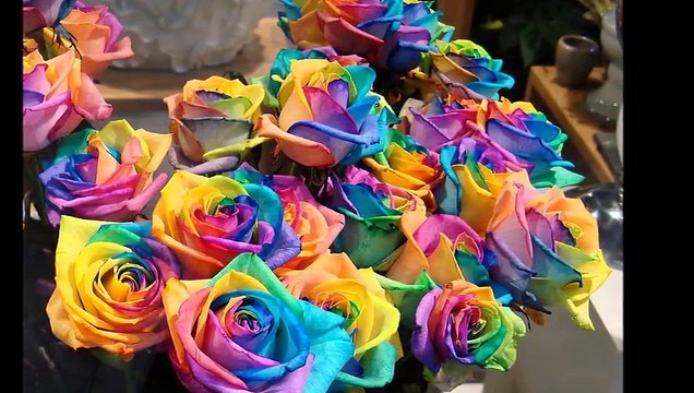 Çoşkun Sabah Bir Pazar Günü