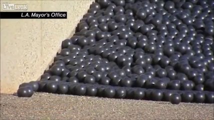 Los Angeles dumps 96 million plastic balls into a reservoir