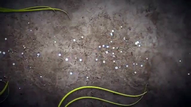 Free motion loops, free background videos and free mini films! In The Background Free HD Motion Background Motion Share Church video sharing site