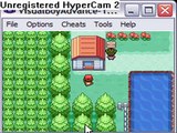 The Door episode 2- Old Lady's House on Seven Island in Firered