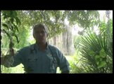 Dr. Mark Stetter talks about the importance of wildlife health research