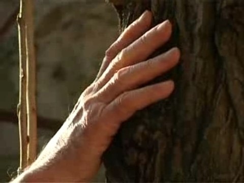 Clip de campagne de jean-marie le pen